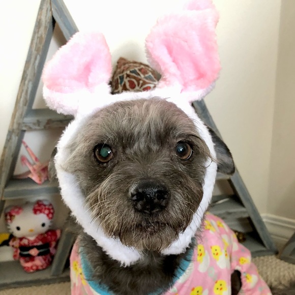 mmmiapet